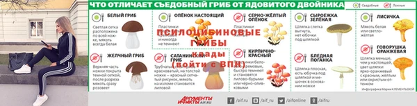 эйфоретик Алексин