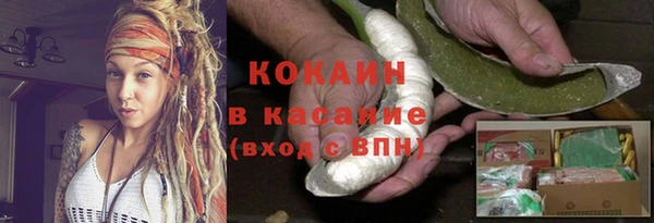 стафф Алзамай