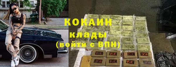 стафф Алзамай