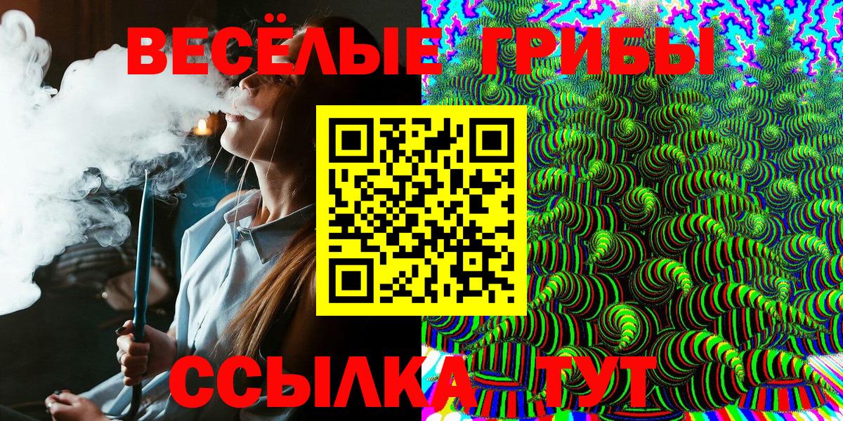 Псилоцибиновые грибы мицелий Людиново